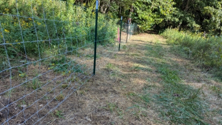 New Northside fence